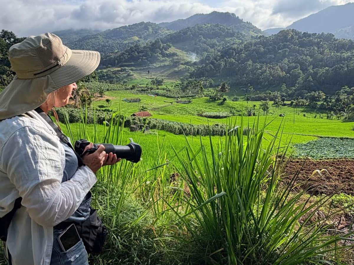 Photographing from the edge of the paddy fields