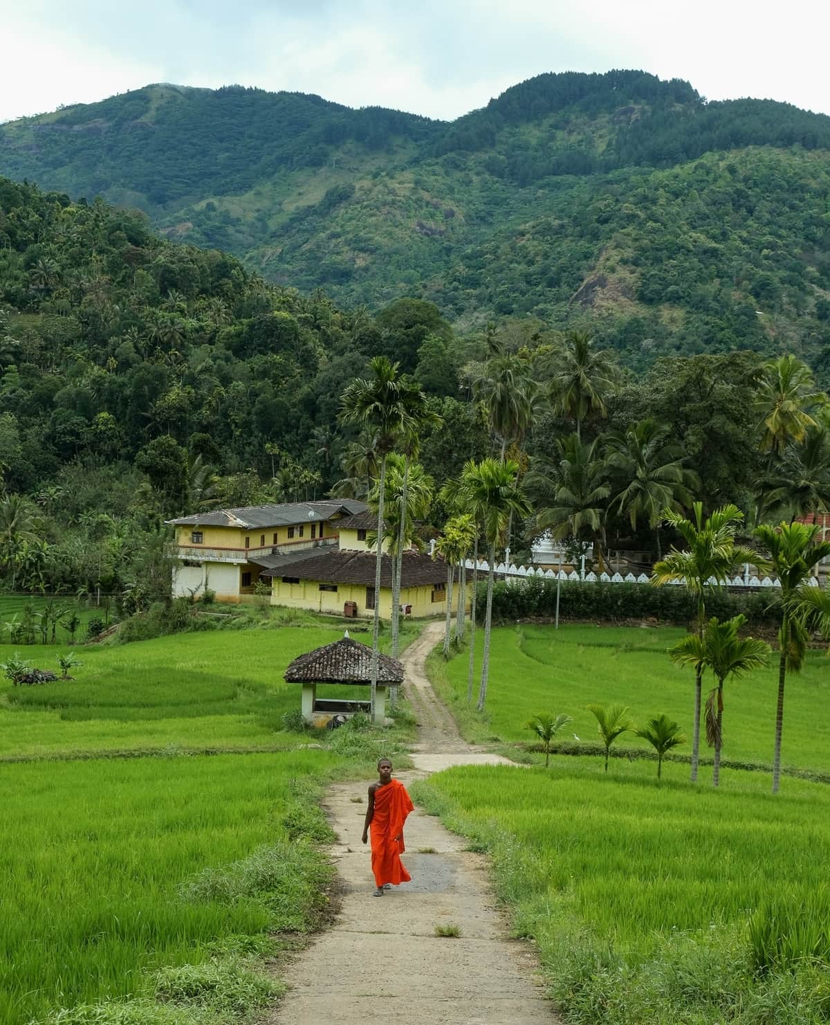 Rice paddies and village houses on the Heeloya trek