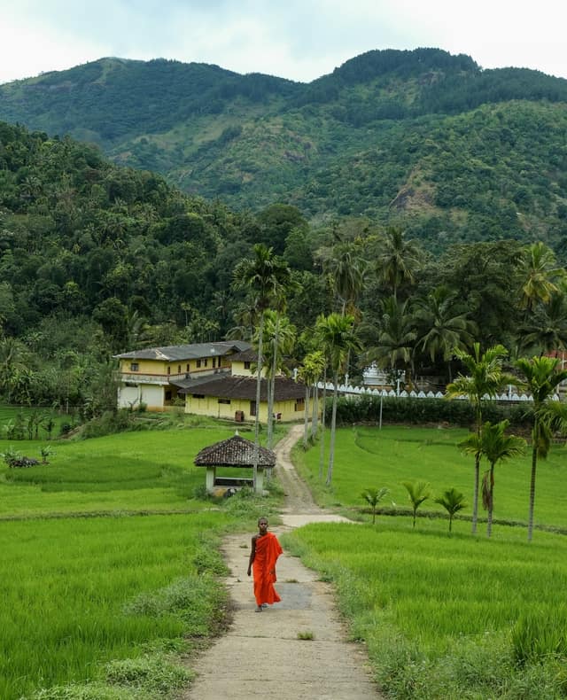 Rice paddies and village houses on the Heeloya trek