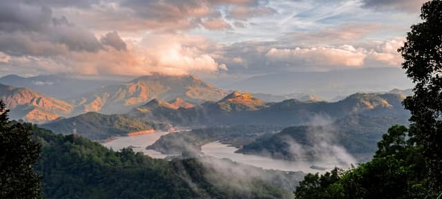 Cloud filling the valley below the estate at dawn, the mountains standing above it