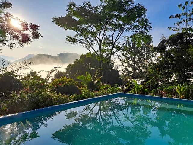 The pool looking out over the jungle at first light